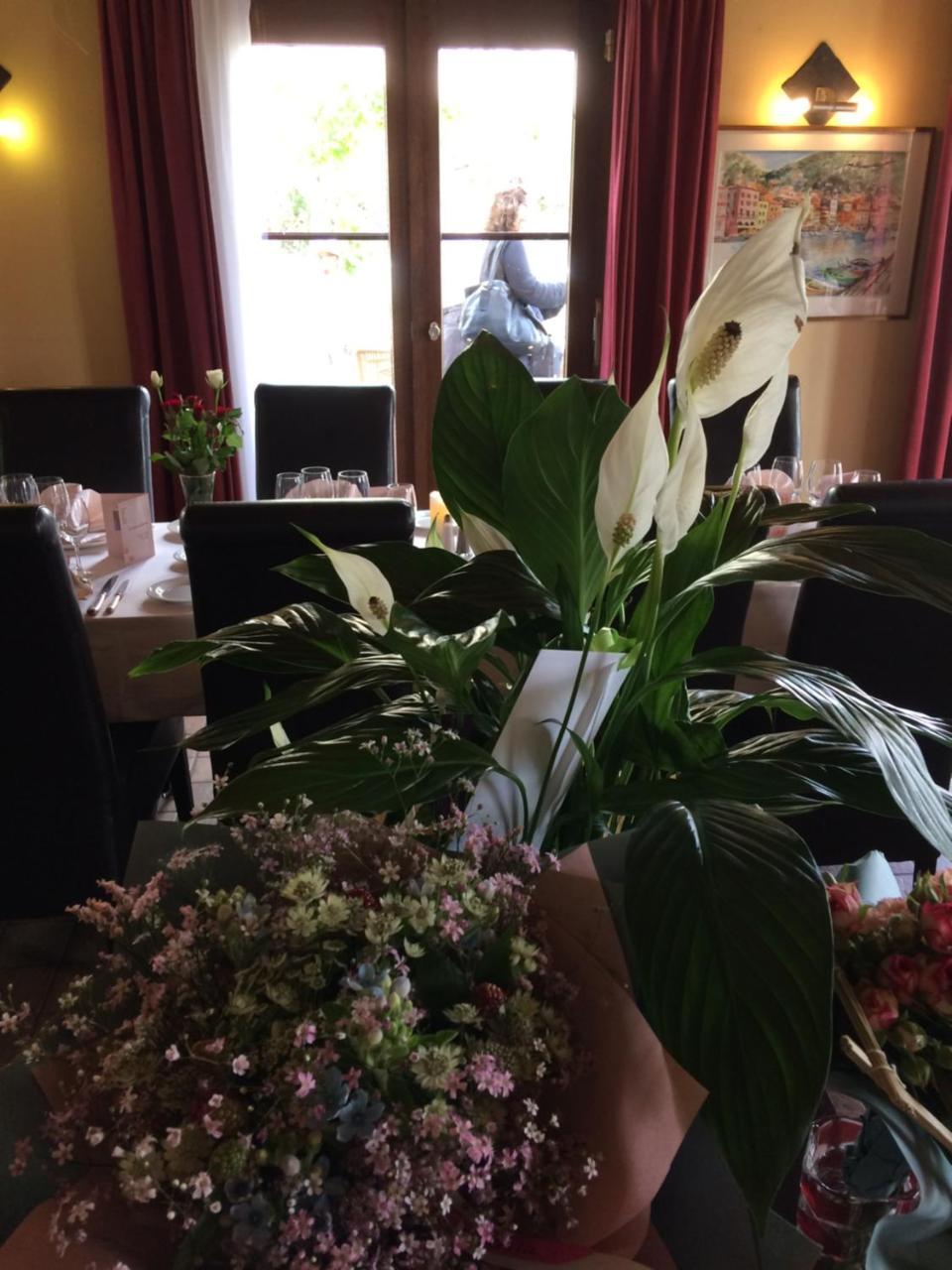 文内瑞酒店 维尔通 外观 照片